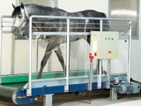 threadmill_800x600